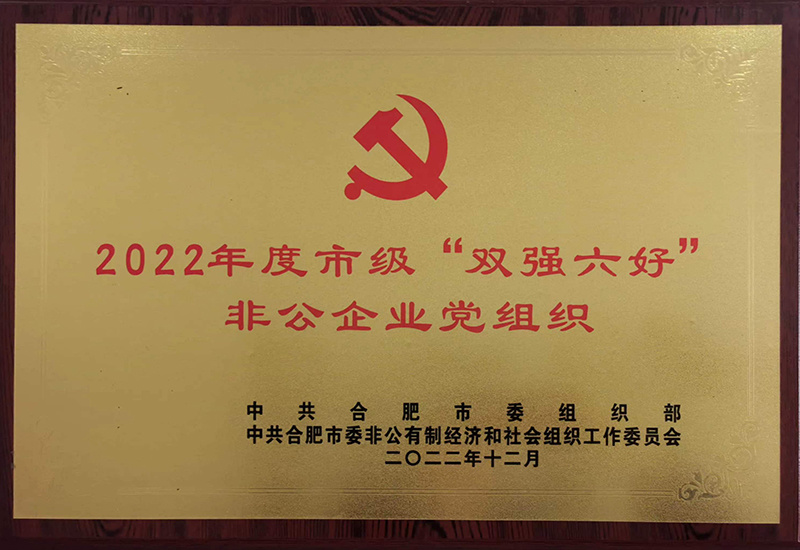 2022年度市级“双强六好”非公企业党组织-中共合肥市委组织部