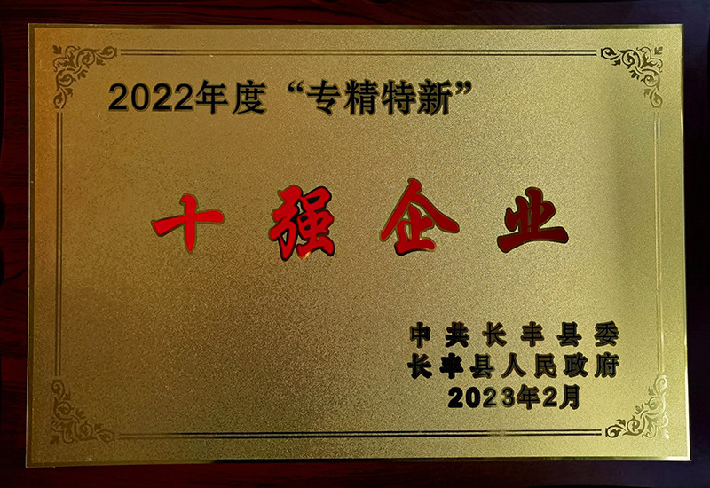 长丰县2022年度专精特新十强企业